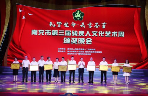 南充市第三届残疾人文化艺术周圆满落幕 艺术展风采，教育咨询助力梦想启航